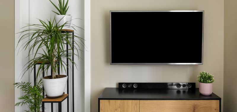 Affordable TV Mounting Services — Cost of TV mounting